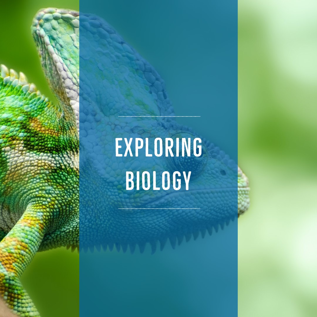 Exploring Biology